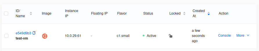 skyline_vm_active